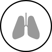 肺の免疫機能を維持